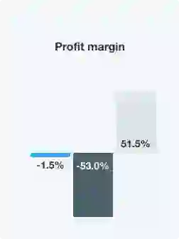 profit margin