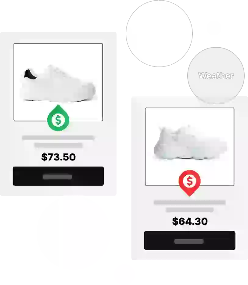 Dynamic Pricing Software