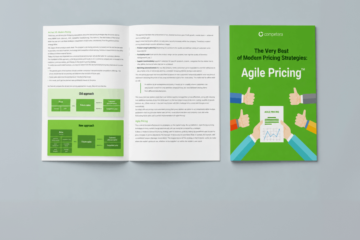 Agile Pricing: The Must Have Framework for Modern E-tailers