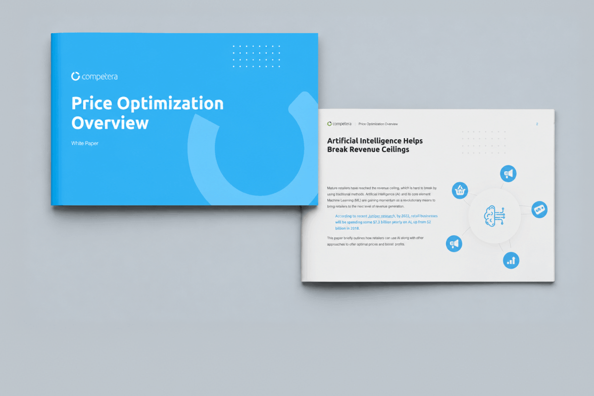 Practical Guide: Price Optimization in Retail